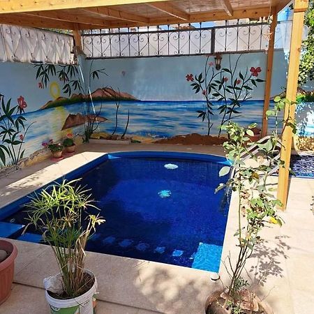 Villa Louise Guest House Luxor Luaran gambar
