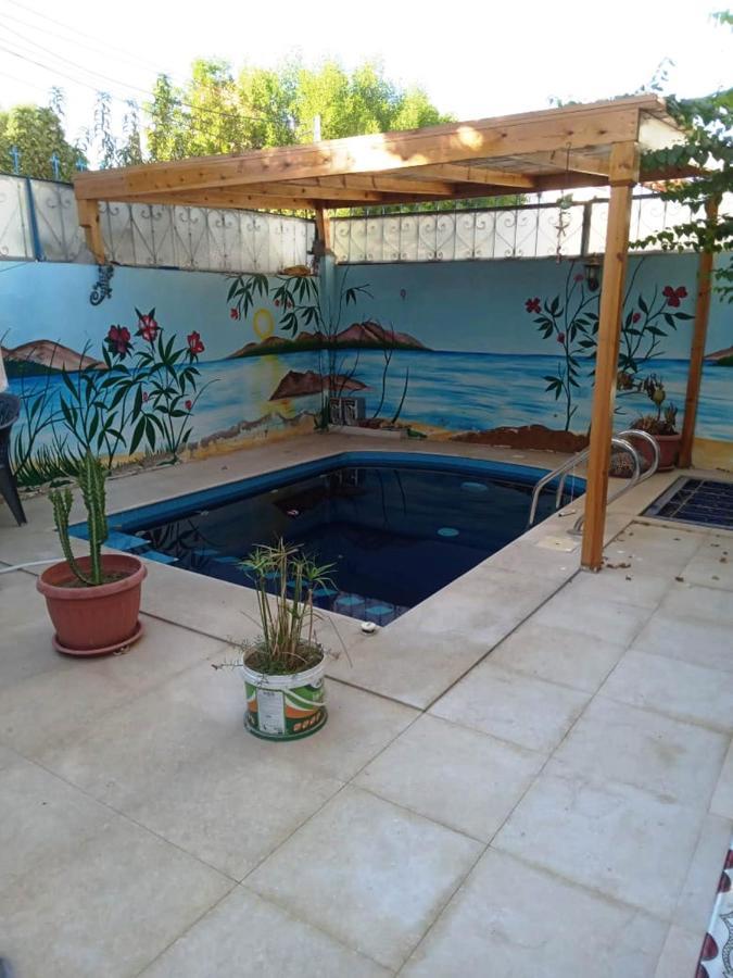 Villa Louise Guest House Luxor Luaran gambar