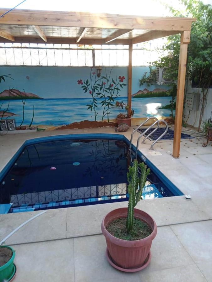 Villa Louise Guest House Luxor Luaran gambar