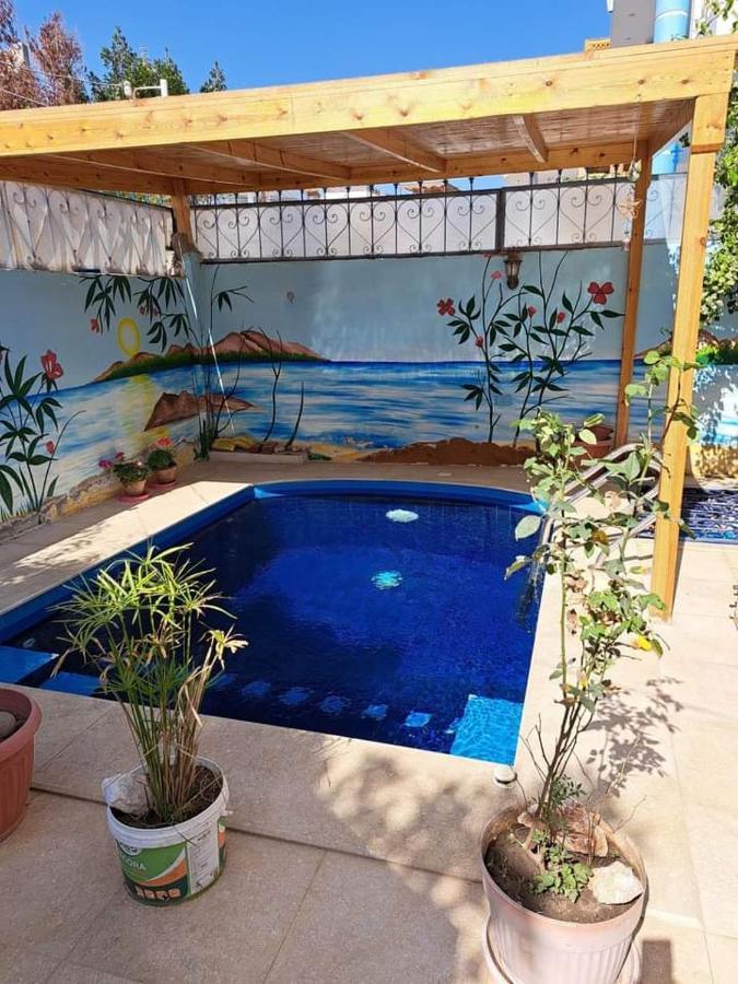 Villa Louise Guest House Luxor Luaran gambar
