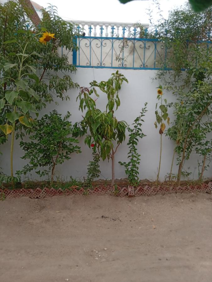 Villa Louise Guest House Luxor Luaran gambar